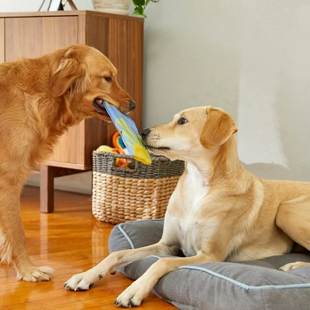 Frisco Summer Fun Ballistic Nylon Plush Surfboard Dog Toy 5 Frisco Summer Fun Ballistic Nylon Plush Surfboard Dog Toy - Image 3