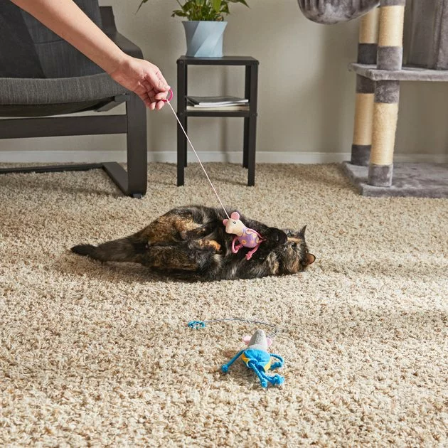 Frisco Summer Fun Bouncy Mouse Cat Toy, 2-pack 4 Frisco Summer Fun Bouncy Mouse Cat Toy, 2-pack - Image 2