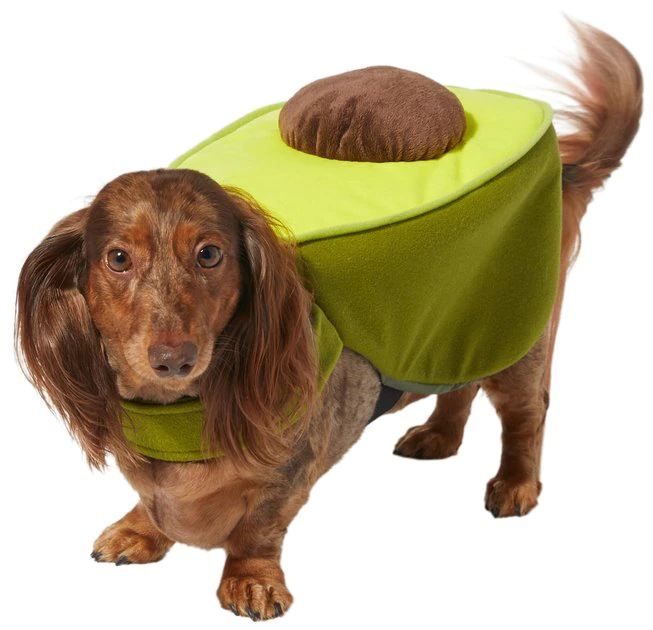 Frisco Avocado Dog & Cat Costume 3 Frisco Avocado Dog & Cat Costume