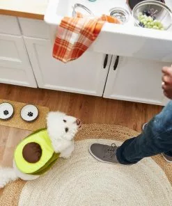 Frisco Avocado Dog & Cat Costume 13 Frisco Avocado Dog & Cat Costume -The Frisco Store 215427 PT8. SY630 V1599141087