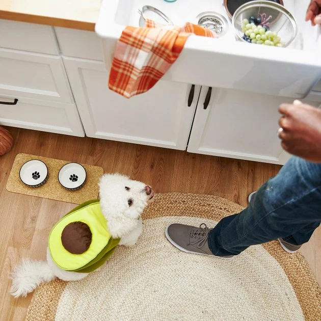 Frisco Avocado Dog & Cat Costume 8 Frisco Avocado Dog & Cat Costume - Image 6