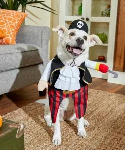 Frisco Front Walking Pirate Dog & Cat Costume -The Frisco Store 215477 PT8. SY630 V1599141371