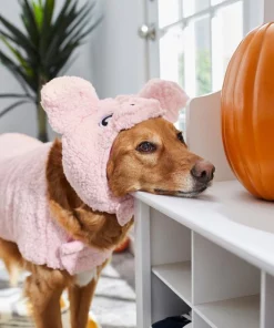 Frisco Pig Dog & Cat Costume -The Frisco Store 215548 PT8. SY630 V1624341805