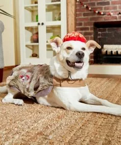 Frisco Zombie Dog & Cat Costume -The Frisco Store 215621 PT8. SY630 V1599226676