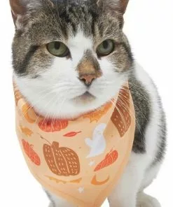 Frisco Whimsical Halloween Dog & Cat Bandana -The Frisco Store 215651 PT2. SY630 V1637656899