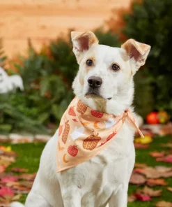 Frisco Whimsical Halloween Dog & Cat Bandana -The Frisco Store 215651 PT4. SY630 V1637676451