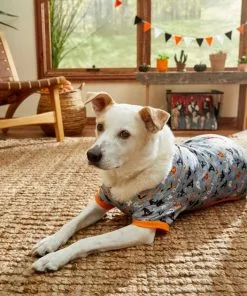 Frisco Halloween Patterned Dog & Cat Jersey PJs -The Frisco Store 215656 PT8. SY630 V1599225410