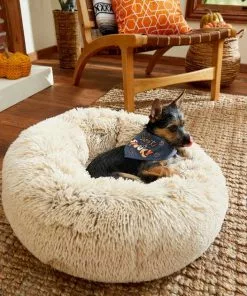 Frisco Sweet & Spooky Dog & Cat Bandana -The Frisco Store 215671 PT3. SY630 V1632420698