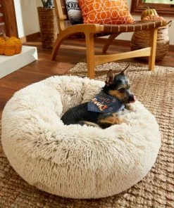 Frisco Sweet & Spooky Dog & Cat Bandana -The Frisco Store 215671 PT8. SY630 V1599016893