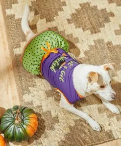 Frisco Let's Get Wicked Dog & Cat Dress -The Frisco Store 215769 PT5. SY630 V1633068120