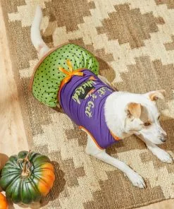 Frisco Let's Get Wicked Dog & Cat Dress -The Frisco Store 215769 PT8. SY630 V1599225360