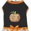 Frisco Pumpkin Patch Cutie Dog & Cat Dress -The Frisco Store 215783 MAIN. SY630 V1632429381