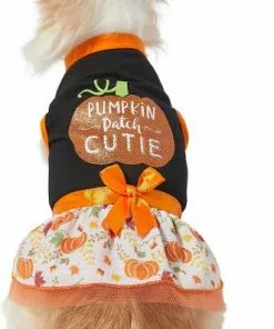 Frisco Pumpkin Patch Cutie Dog & Cat Dress -The Frisco Store 215783 PT3. SY630 V1632428193