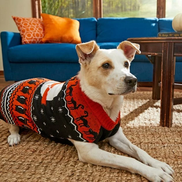 Frisco Feeling Witchy Dog & Cat Sweater 8 Frisco Feeling Witchy Dog & Cat Sweater - Image 6