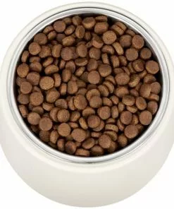 Frisco Slanted Stainless Steel Bowl 13 Frisco Slanted Stainless Steel Bowl -The Frisco Store 216028 PT4. SY630 V1591020437