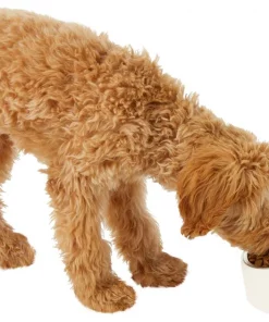 Frisco Slanted Stainless Steel Bowl 14 Frisco Slanted Stainless Steel Bowl -The Frisco Store 216028 PT6. SY630 V1605666119