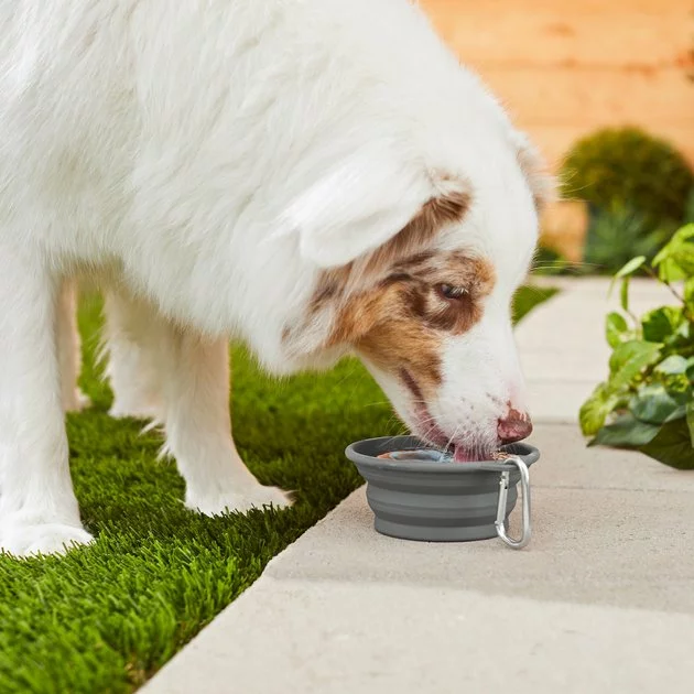 Frisco Silicone Collapsible Travel Bowl with Carabiner, 1.5 Cups 7 Frisco Silicone Collapsible Travel Bowl with Carabiner, 1.5 Cups - Image 5