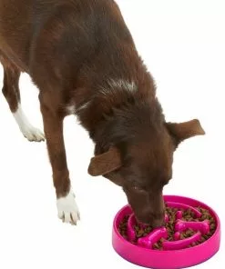 Frisco Bone Shaped Ridges Slow Feed Bowl, 3 Cups -The Frisco Store 216040 PT6. SY630 V1605656524