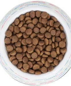 Frisco Colorful Fish Melamine Cat Bowl, 1.5 Cups -The Frisco Store 216047 PT4. SY630 V1591020721