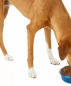 Frisco Chevron Design Glass Bowl with Silicone Sleeve, 4.25 Cups -The Frisco Store 216049 PT6. SY630 V1605654757