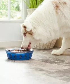 Frisco Chevron Design Glass Bowl with Silicone Sleeve, 4.25 Cups -The Frisco Store 216049 PT7. SY630 V1605664319