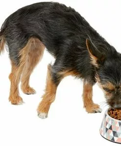 Frisco Colorful Geometric Melamine Bowl -The Frisco Store 216052 PT6. SY630 V1605657120