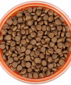 Frisco Paw Design Glass Bowl with Silicone Sleeve, 3 Cups 13 Frisco Paw Design Glass Bowl with Silicone Sleeve, 3 Cups -The Frisco Store 216055 PT4. SY630 V1591020767