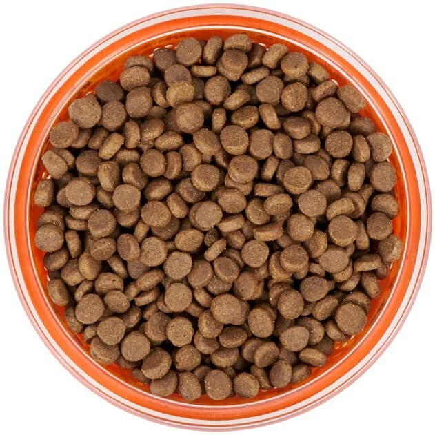 Frisco Paw Design Glass Bowl with Silicone Sleeve, 3 Cups 7 Frisco Paw Design Glass Bowl with Silicone Sleeve, 3 Cups - Image 5