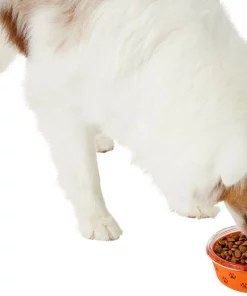 Frisco Paw Design Glass Bowl with Silicone Sleeve, 3 Cups 14 Frisco Paw Design Glass Bowl with Silicone Sleeve, 3 Cups -The Frisco Store 216055 PT6. SY630 V1605655922