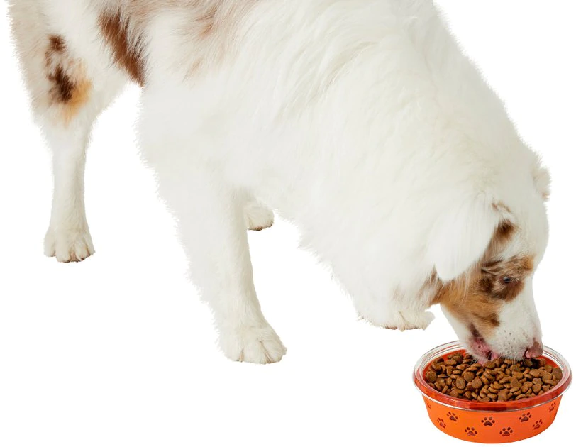 Frisco Paw Design Glass Bowl with Silicone Sleeve, 3 Cups 8 Frisco Paw Design Glass Bowl with Silicone Sleeve, 3 Cups - Image 6