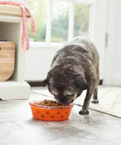 Frisco Paw Design Glass Bowl with Silicone Sleeve, 3 Cups 15 Frisco Paw Design Glass Bowl with Silicone Sleeve, 3 Cups -The Frisco Store 216055 PT7. SY630 V1605660423