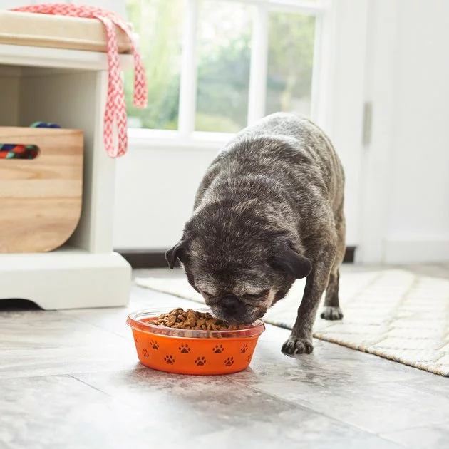 Frisco Paw Design Glass Bowl with Silicone Sleeve, 3 Cups 9 Frisco Paw Design Glass Bowl with Silicone Sleeve, 3 Cups - Image 7