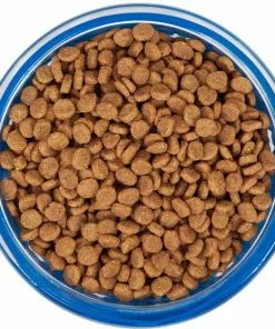 Frisco Cat Design Glass Bowl with Silicone Sleeve, 1.5 Cups 12 Frisco Cat Design Glass Bowl with Silicone Sleeve, 1.5 Cups -The Frisco Store 216057 PT4. SY630 V1591020958