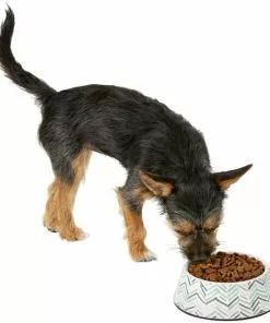 Frisco Chevron Brushed Melamine Bowl -The Frisco Store 216059 PT6. SY630 V1605665808