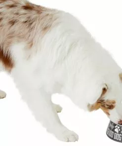 Frisco Doggie Melamine Bowl, 3 Cup -The Frisco Store 216062 PT6. SY630 V1605663429