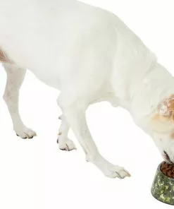 Frisco Camo Paint Splashed Melamine Bowl, 3 Cup -The Frisco Store 216066 PT6. SY630 V1605666935