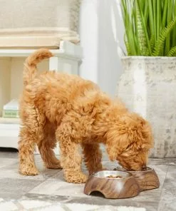 Frisco Double Stainless Steel Bowl, Wood Design, 0.75 Cup -The Frisco Store 216068 PT7. SY630 V1605666481