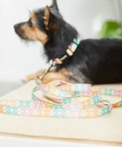 Frisco Pastel Tie Dye Polyester Dog Leash -The Frisco Store 218254 PT4. SY630 V1597599974