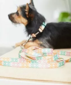 Frisco Pastel Tie Dye Polyester Dog Leash -The Frisco Store 218254 PT5. SY630 V1628030010