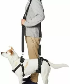 Frisco Front & Rear Lift Handicapped Support Dog Harness -The Frisco Store 220369 PT6. SY630 V1605751956