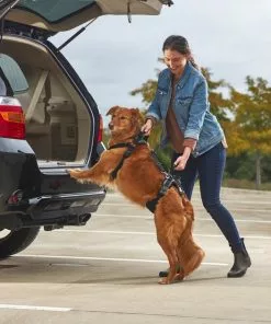 Frisco Front & Rear Lift Handicapped Support Dog Harness -The Frisco Store 220369 PT7. SY630 V1605754629