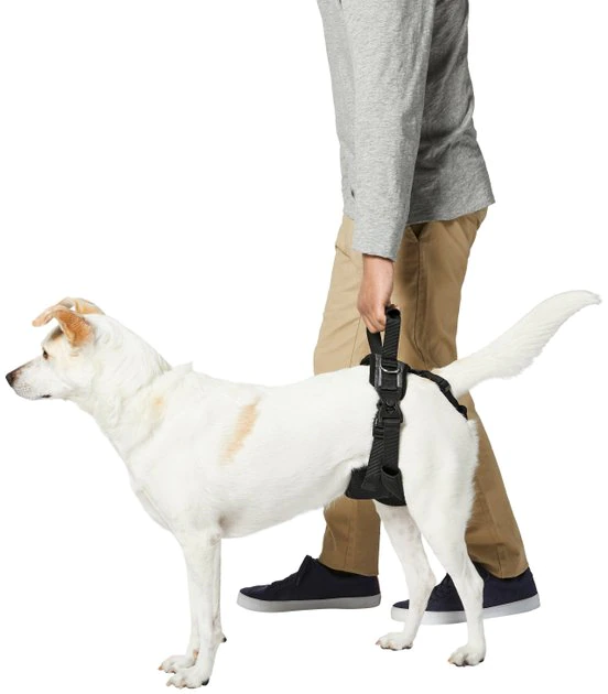 Frisco Rear Lift Handicapped Support Dog Harness 6 Frisco Rear Lift Handicapped Support Dog Harness - Image 4