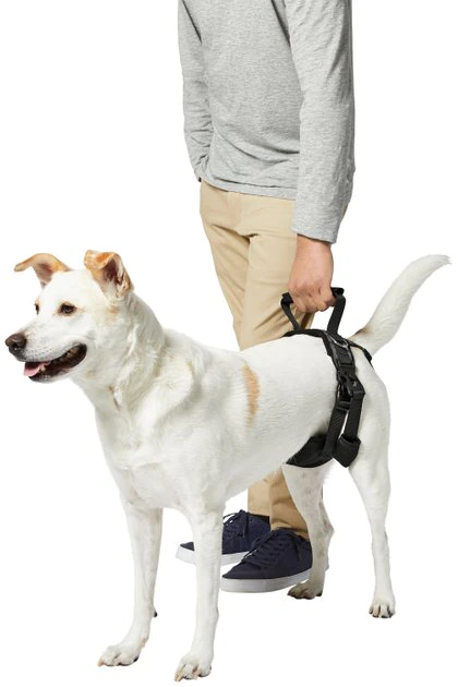 Frisco Rear Lift Handicapped Support Dog Harness 7 Frisco Rear Lift Handicapped Support Dog Harness - Image 5