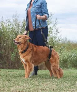 Frisco Rear Lift Handicapped Support Dog Harness 13 Frisco Rear Lift Handicapped Support Dog Harness -The Frisco Store 220374 PT7. SY630 V1605754619