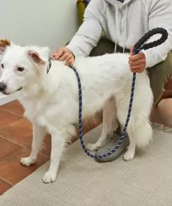 Frisco Rope Dog Leash with Padded Handle -The Frisco Store 221216 PT4. SY630 V1602862576