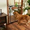 Frisco Wood Accents Extra Tall Auto-close Dog Gate, 41-in -The Frisco Store 221968 MAIN. SY630 V1595281859