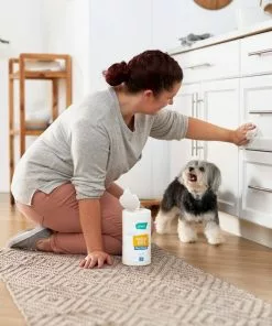 Frisco Vinegar Cleaning Wipes, 70 count 11 Frisco Vinegar Cleaning Wipes, 70 count -The Frisco Store 222151 PT4. SY630 V1602847932