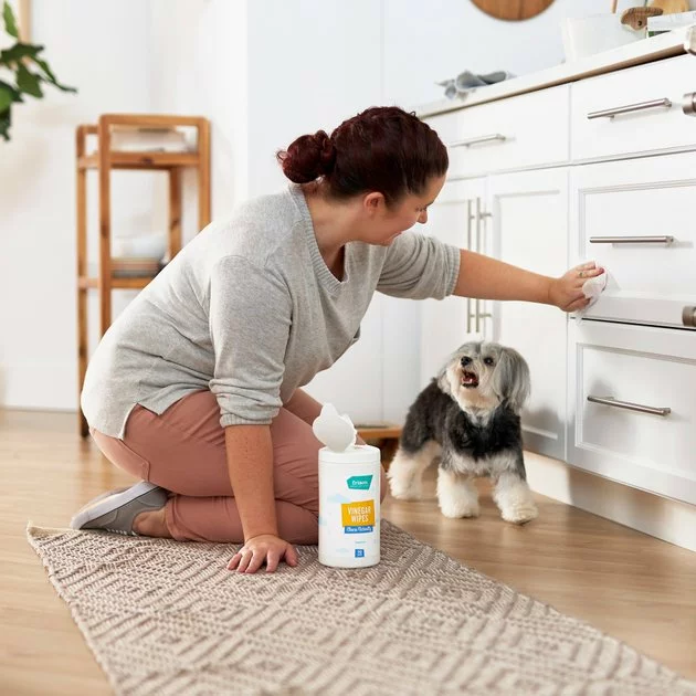 Frisco Vinegar Cleaning Wipes, 70 count 7 Frisco Vinegar Cleaning Wipes, 70 count - Image 5