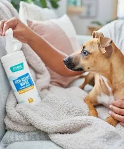 Frisco Itch Relief Waterless Grooming Wipes for Dogs & Cats, 50 count -The Frisco Store 222165 PT1. SY630 V1602839795