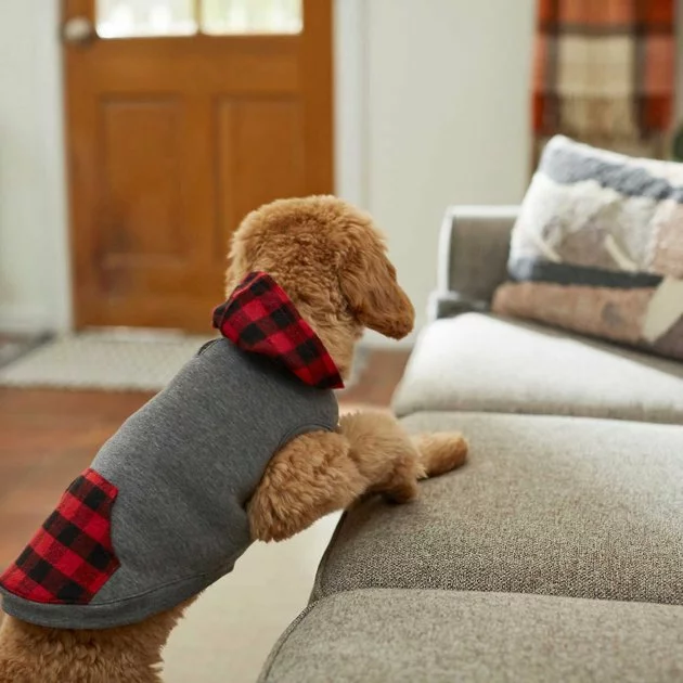 Frisco Plaid Dog & Cat Hoodie 10 Frisco Plaid Dog & Cat Hoodie - Image 8